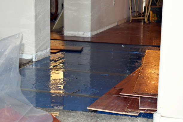Professional Basement Flood Cleanup technician working in Morris Plains, NJ